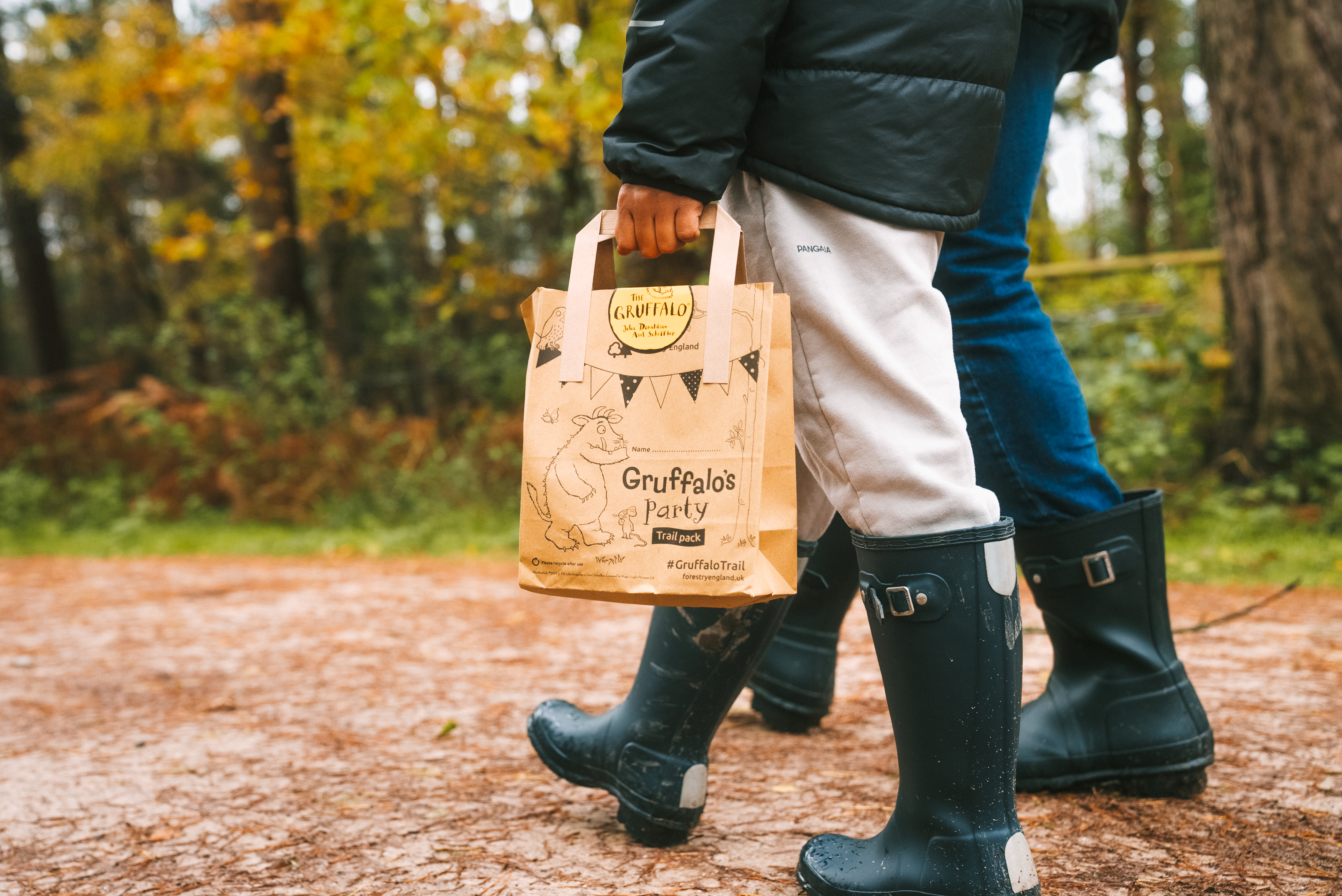 Gruffalo Party Trail at Dalby Forestry England